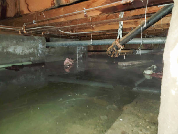 Best Professional water damage repair  in Lakeside, TX