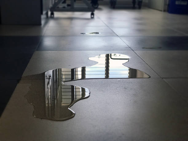 Best Water damage contractors near me  in Lakeside, TX