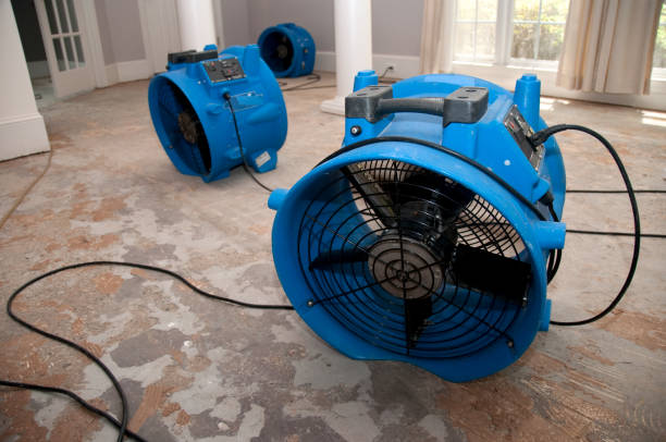Best Water damage restoration company  in Lakeside, TX